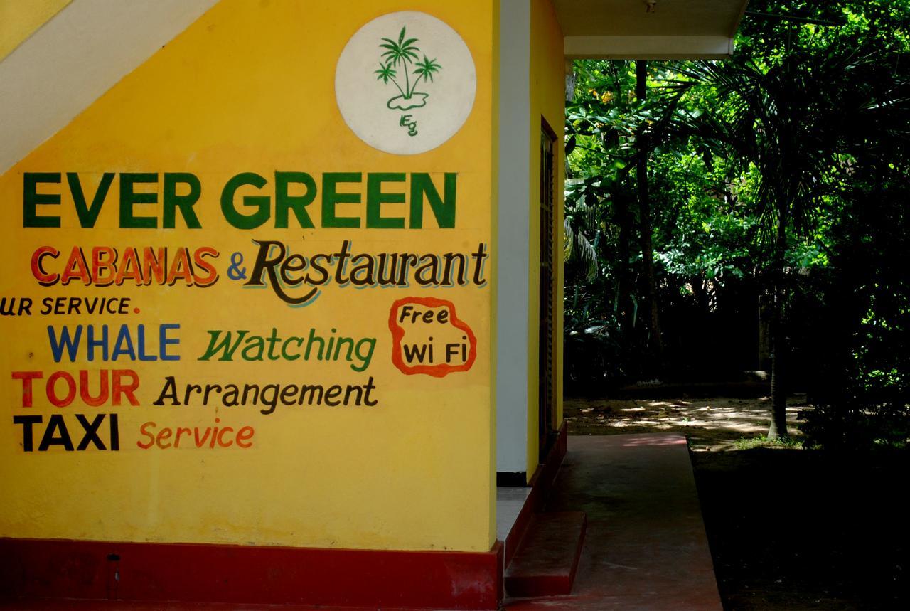 Ever Green Mirissa Exterior foto
