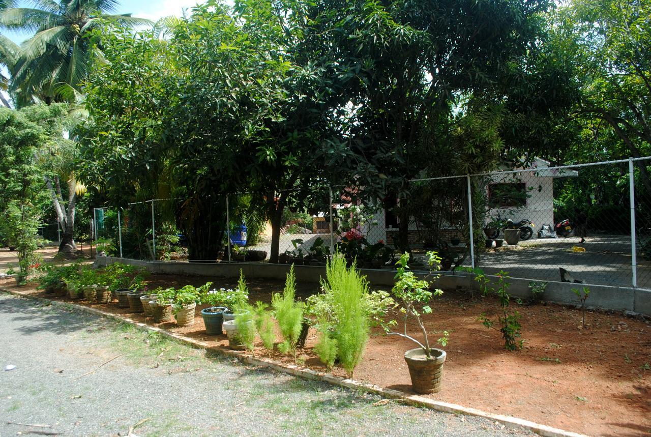 Ever Green Mirissa Exterior foto